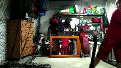 Expensive Fails but They Keep Getting Funnier 🤑