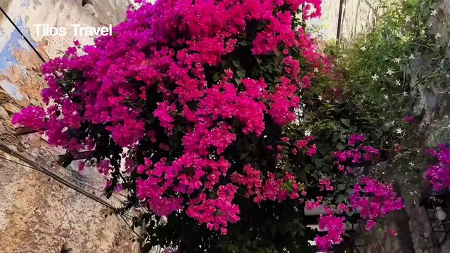 Sakız Adası Feribot Turu Tilos Travel'da Sizi Bekliyor!