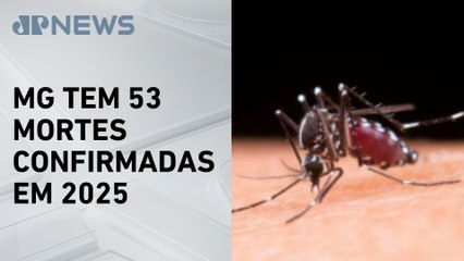 Minas Gerais registra 10 novas mortes de dengue em uma semana