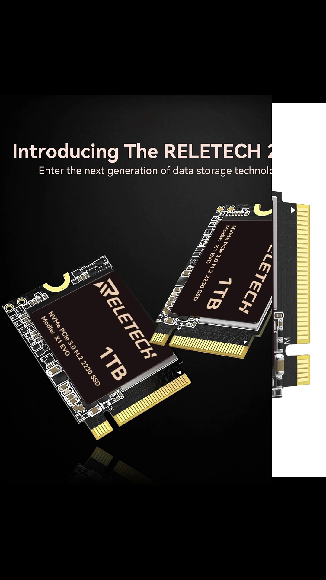 Reletech M.2 2230 SSD 1TB PCIe3.0