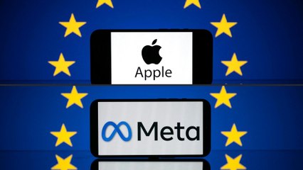 Meta und Apple müssen 700 Millionen Euro an EU-Strafen zahlen