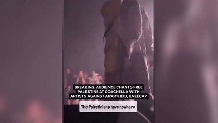 Kneecap gives pro-Palestine speech at Coachella