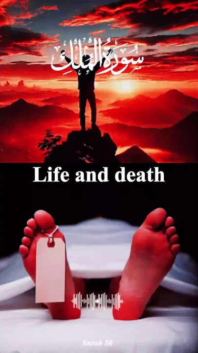 Surah Al-Mulk (1–6) – The Kingdom of Allah & The Power of His Creation | Soothing Quran Recitation | Islam Insights