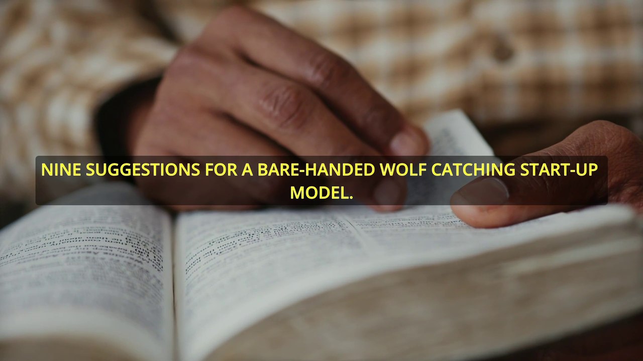 Bare-Handed Wolf Catching: 9 Startup Secrets (No Money Needed!) | Finance Hacked