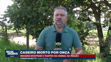 Onça-pintada ataca e mata caseiro