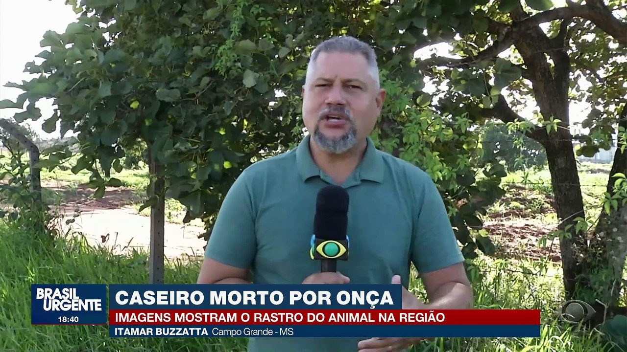 Onça-pintada ataca e mata caseiro