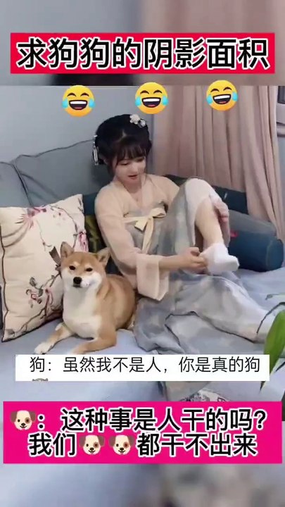 beauty &dog compilation