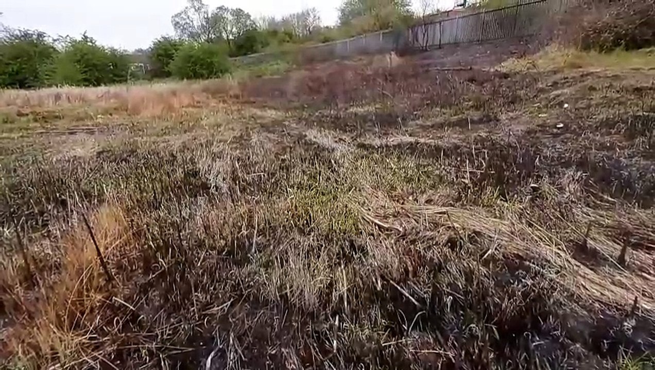 Sunderland residents left angry and fearful after community park set on fire "at least 10 times in 4 weeks"