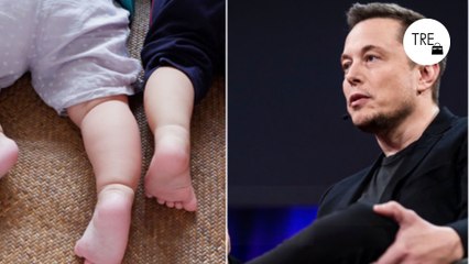 Si eres mujer, inteligente y en edad de procrear, Elon Musk podría querer reclutarte para formar su "legión" de niños antes del apocalipsis