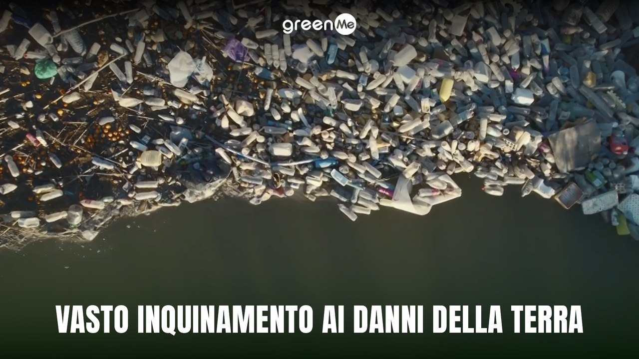 Vasto inquinamento ai danni della terra