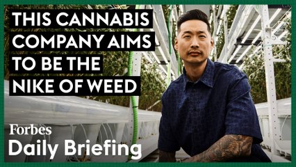 Inside Stiiizy, The World’s Best-Selling Weed Brand