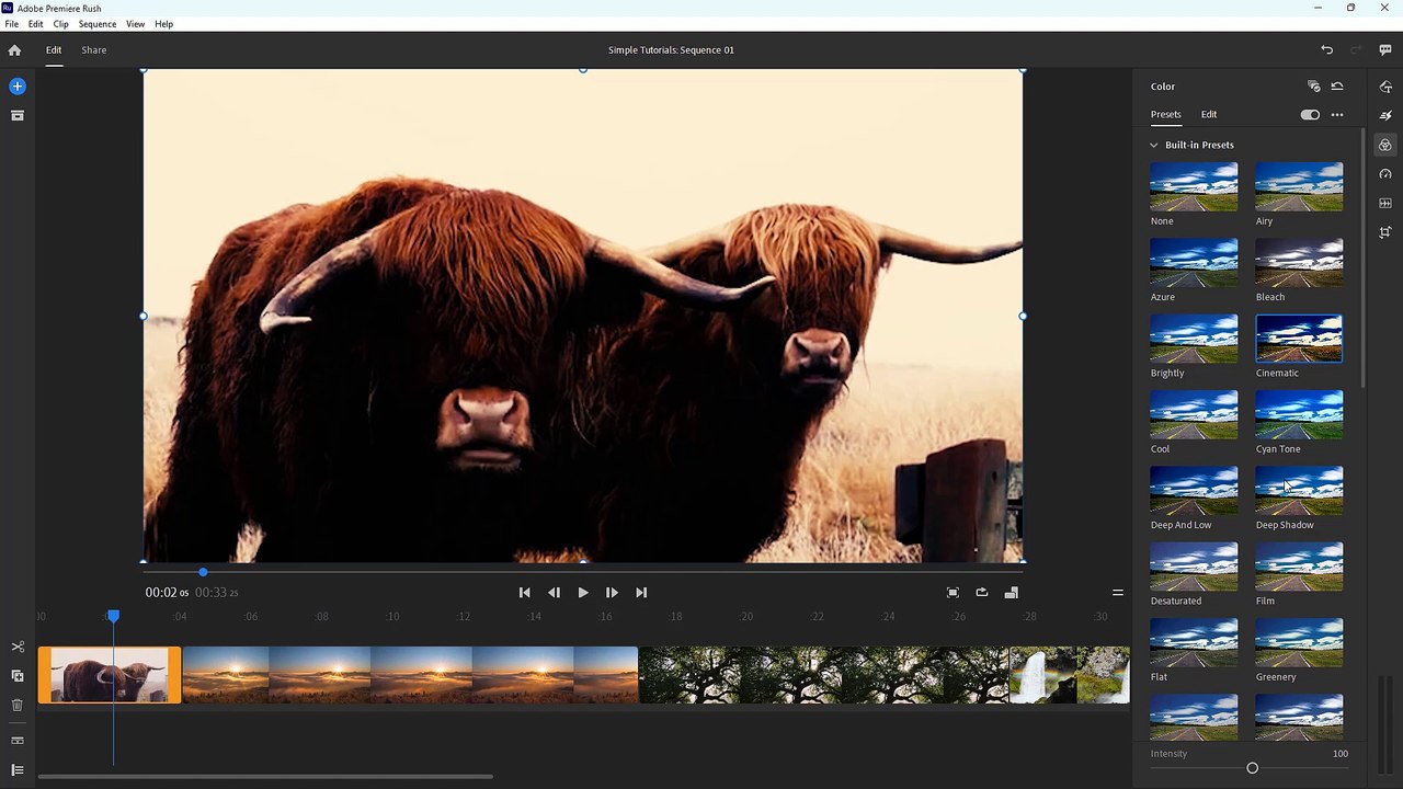 Adobe Premiere Rush 8 Applying Color Looks
