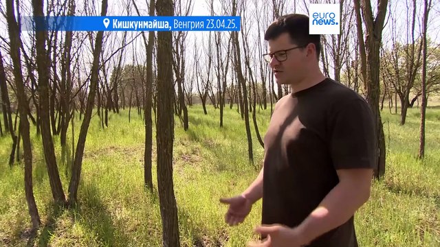 В Венгрии останавливают опустынивание земель