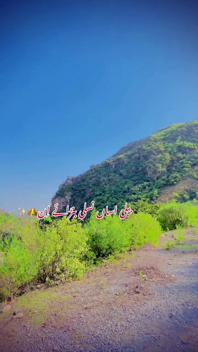 Dailymotion editing star vedio status picnic Time