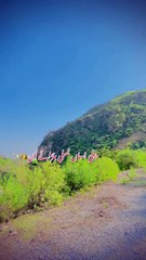 Dailymotion editing star vedio status picnic Time