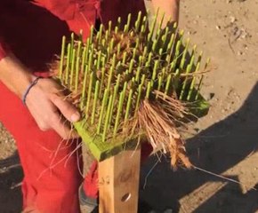 Old World Beauty! DIY Makeup Tools Inspired by Ancient Times!