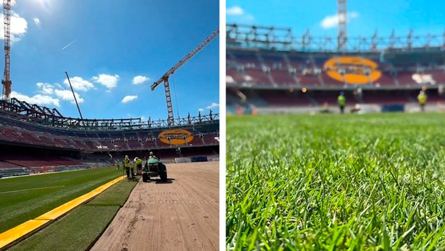 Barcelona: Comienza la instalación del césped en el nuevo Camp Nou