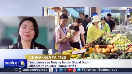 China-Kenya Relations: Assessing Infrastructure Investments and Future Green BRI Initiatives