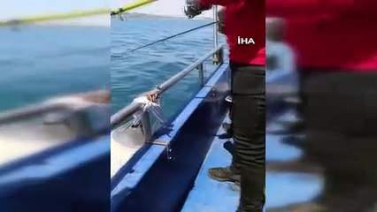 Sadece kara değil, deniz de sallandı! İşte Marmara Denizi'nde deprem anı...