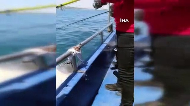 Sadece kara değil, deniz de sallandı! İşte Marmara Denizi'nde deprem anı...