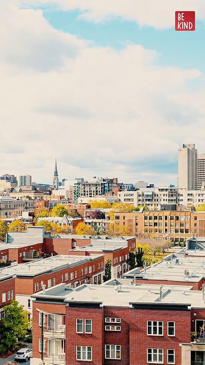 _DramatizeMe US What_s more important for you_ romantic relationships or friendship