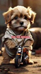 The poor funny puppy was made fun of by his friends because he didn,t have a bike #skmg2 #rajab
