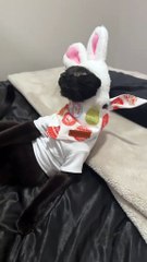 My baby had to lean back to show yall the fit #fyp #fypシ #trending #foryoupage