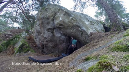 Bleau - Bouddhas de Sagesse