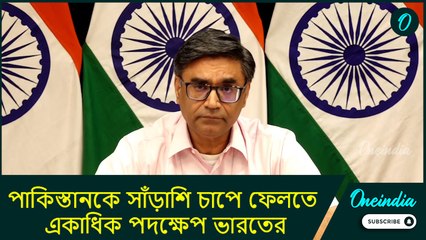 MEA Press Conference: পাকিস্তানকে সাঁড়াশি চাপে ফেলতে একাধিক পদক্ষেপ ভারতের, বিপাকে পড়বে ইসলামাবাদ