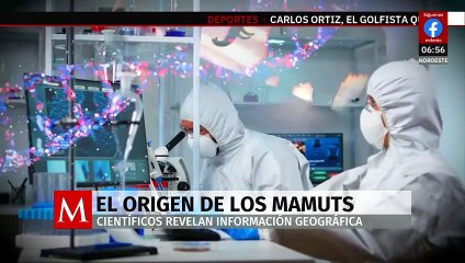 ¿De dónde vienen los mamuts?