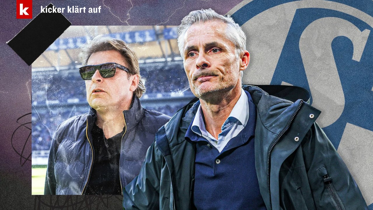 Die Gründe für van Wonderens Aus - So soll es auf Schalke weitergehen
