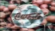 Sempre Coca-Cola 1993 (Sandra de Sá)