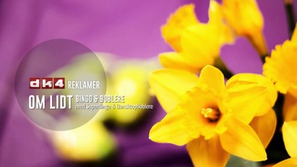 Danser med Drenge - Reggae vuggevise |2024| DK4