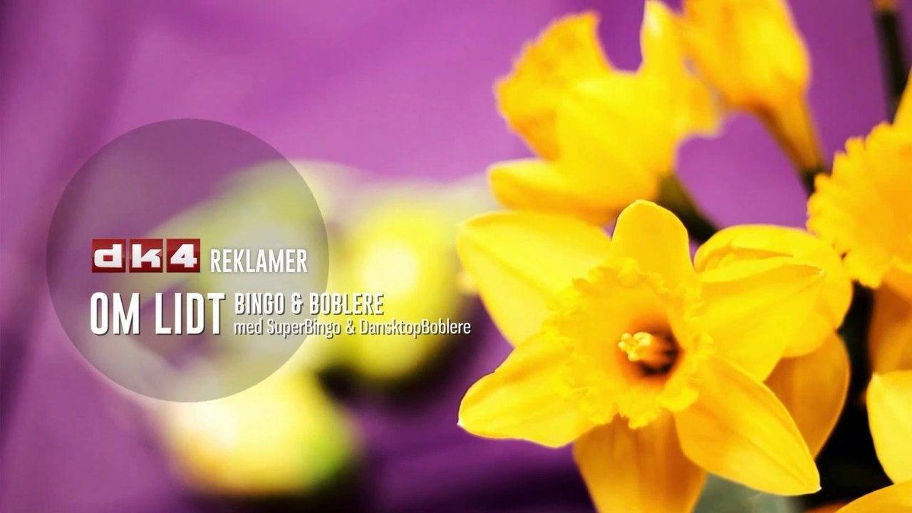 Danser med Drenge - Reggae vuggevise |2024| DK4