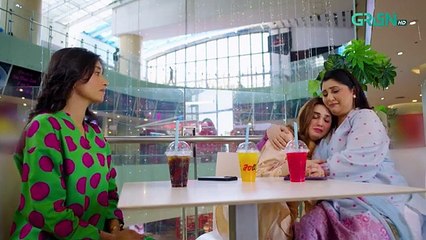 Na Tum Jano Na Hum Episode 16 (Subtitle) 23rd April 2025 _ Hassan Khan - Hina Tariq _ Green TV(360P)