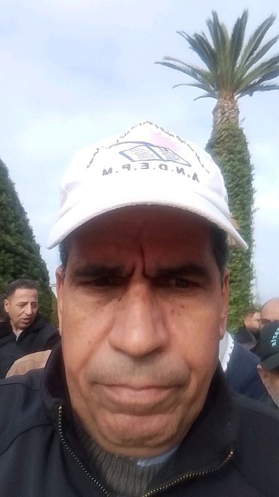 على التعليم كانغيرو