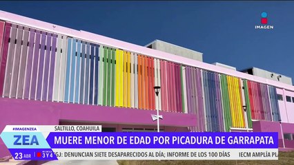 Niño de 10 años muere por la picadura de una garrapata en Saltillo, Coahuila