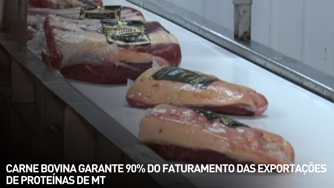 Carne bovina garante 90% do faturamento das exportações de proteínas de MT