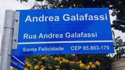 Gato com câncer é resgatado pelos Bombeiros após cair em bueiro no Santa Felicidade