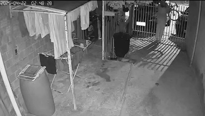 Criminosa se disfarça de bigode para invadir residências e tocar o terror em Curitiba