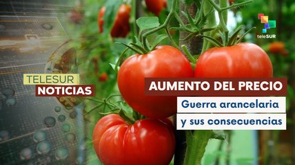 Jitomate mexicano: Una de las víctimas de la guerra arancelaria de EE.UU.