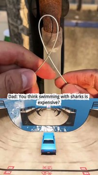 Swimming with Sharks