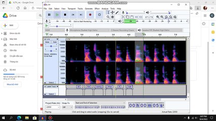 Process data - Audacity