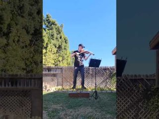 Man Performs on Violin While Maintaining Balance on Wooden Beam