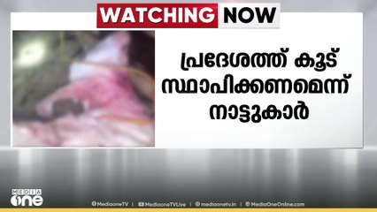 വയനാട് നമ്പ്യാർകുന്ന്-ചീരാൽ മേഖലയിൽ പുലി ആടിനെ കൊന്നു
