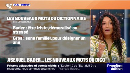 Asexuel, bader, aplaventrisme, cécifoot… Le dictionnaire Larousse intègre 150 nouveaux mots
