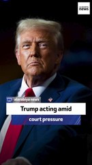 Former US ambassador: Trump acting amid court pressure