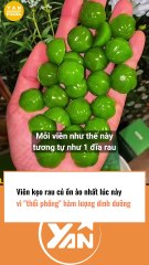Kết quả kiểm định kẹo rau củ Kera