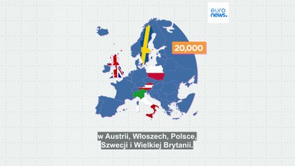 Jaki jest stosunek europejskiej opinii publicznej do praw nielegalnych migrantów?