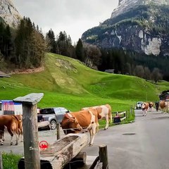 This is a beautiful country of Switzerland